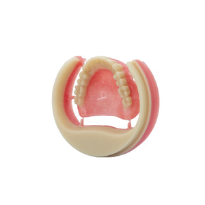 CAD/CAM PMMA DISC for denture