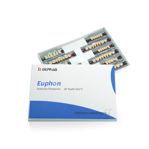 Synthetic resin teeth/Acrylic teeth Euphon
