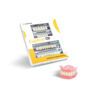 Synthetic resin teeth/Acrylic teeth Euphon Max