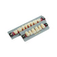 Synthetic resin teeth/Acrylic teeth Euphon